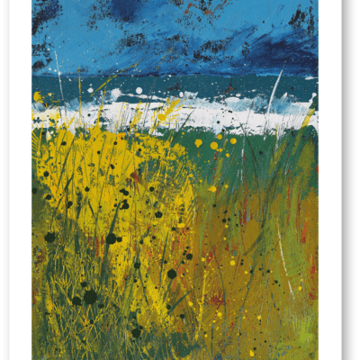 Wild tides in the bay